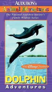 Image result for Adventure Dolphin