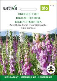 Image result for Fingerhut rot