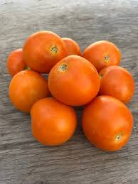 Afbeeldingsresultaat voor marmande jaune tomato