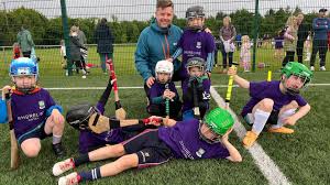 Image result for St Rita`s Camogie Club