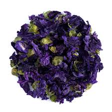 Image result for Malva sylvestris