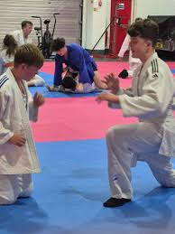 Image result for Universal Judo Academies