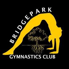 Image result for Appley Bridge Gymnastics Club