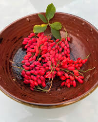 Attēlu rezultāti vaicājumam “Berberis vulgaris fruit”