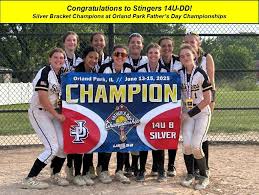 Image result for Stingers Korfball Club