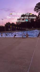 Image result for Swindon Dolphins