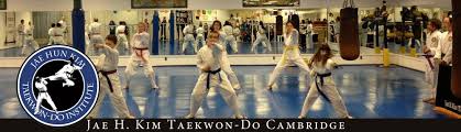 Image result for Hed Tkd (Dorking Tae Kwon-Do)