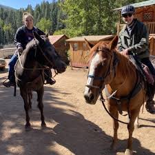 Image result for Old Park Riding Stables