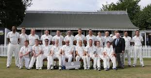 Image result for Cork County Cricket Club