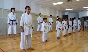 Image result for Rising Sun Judo Club