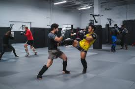 Image result for Precision MMA Mixed Martial Arts Training
