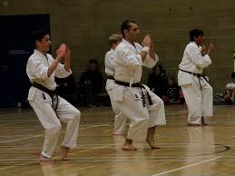 Image result for Kenshukai Karate