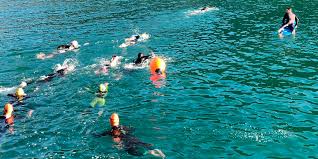 Image result for Cornwall Swim Club