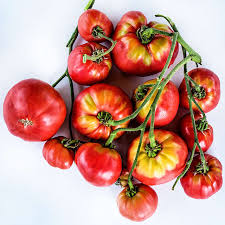 Afbeeldingsresultaat voor mortgage lifter bicolor strain tomato