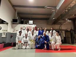 Image result for Halton Inclusive Judo Club