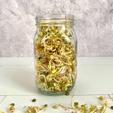 Image result for bean sprout