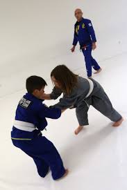 Image result for Taunton Karate Jutsu