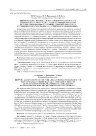 Attēlu rezultāti vaicājumam “Populus x lettland”