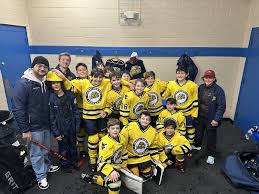 Image result for Vipers Roller Hockey Team