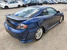 Image result for tuscani tibu...start=0