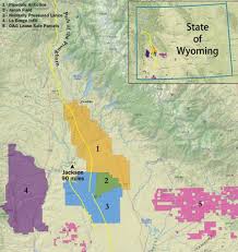 Image result for jonah gas field