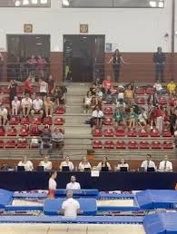 Image result for Edgbarrow Trampoline Club