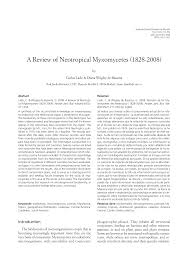 Attēlu rezultāti vaicājumam “Comatricha meandrispora stalked”