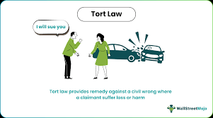 Image result for tort