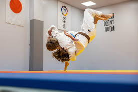 Image result for Anfield Youth Activity Centre Judo Club