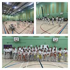Image result for Broadwell Karate Club