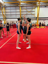 Image result for Avondale Gymnastics Club