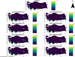 Attēlu rezultāti vaicājumam “Cinclidotus danubicus cells”