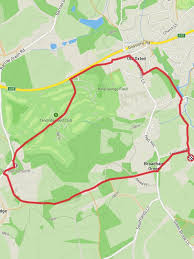 Image result for Oxted Runners