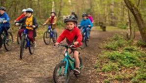 Image result for Go Ape! Alice Holt