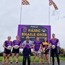 Image result for Wolfe Tones Gaelic Athletic Club