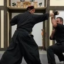 Image result for Bujinkan Dojo Seijitsu