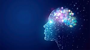 Image result for consciousness