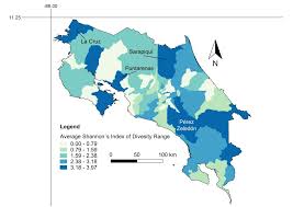 Attēlu rezultāti vaicājumam “Licea testudinacea”