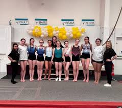 Image result for Colchester School Of Gymnastics