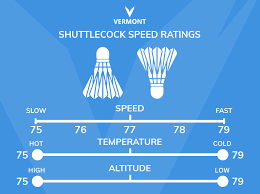 Image result for Flight Path Badminton Club