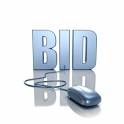 ONLINE AUCTIONS >> Understanding Online Auction | List of Online ...