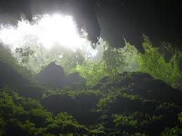 Image result for Venutios Caving Group