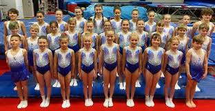Image result for South Western Gymnastics Club