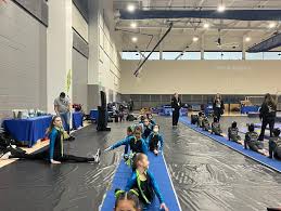 Image result for Vernon Park Gymnastics