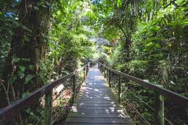 Image result for cahuita costa rica