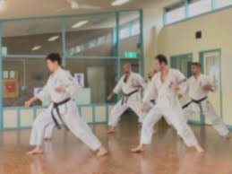 Image result for Jin Sei Kai Shotokan Karate