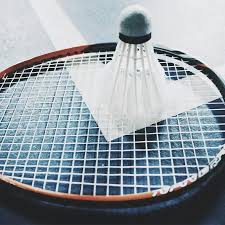 Image result for Guildford and District Badminton League