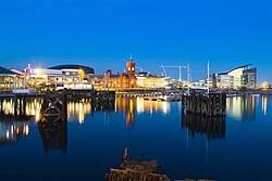 Image result for Cardiff Capitals