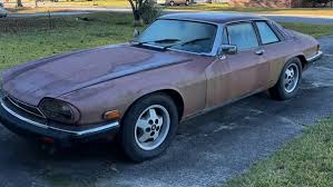 Image result for Clarendon Blue 1983 Jaguar
