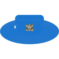 Image result for Prescot & Odyssey Cricket Club